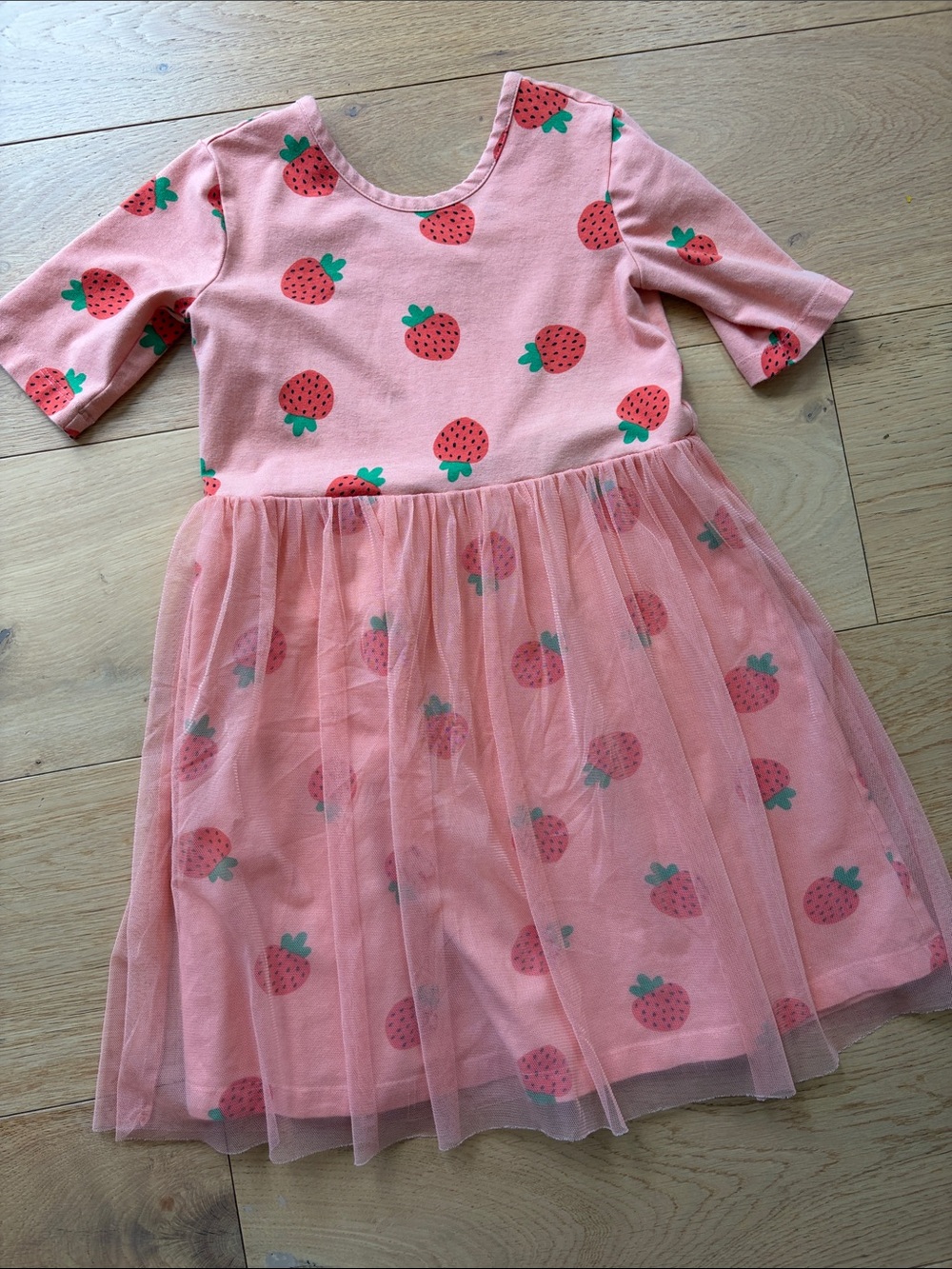 Hanna Andersson Pink Strawberry Tulle Dress